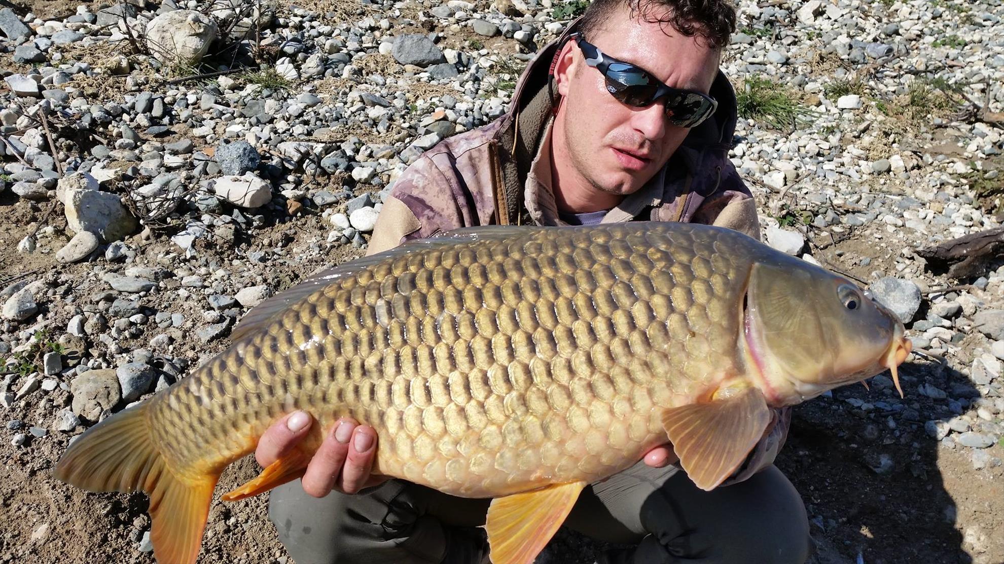 capturi 2014-2015 - 10935367753829228039377130231358o.jpg